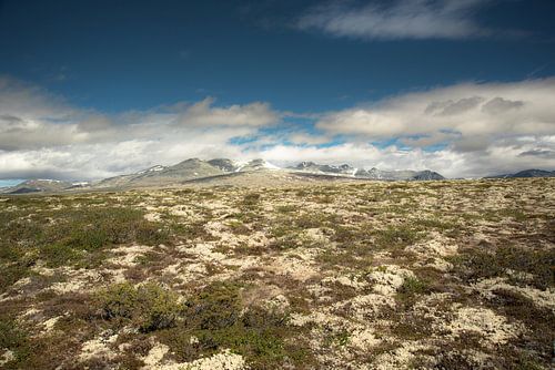 Rondane national park 1
