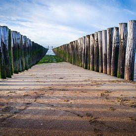 🌊✨ Discover the Timeless Beauty of Our Wavebreakers! ✨🌊 by Eriks Photoshop