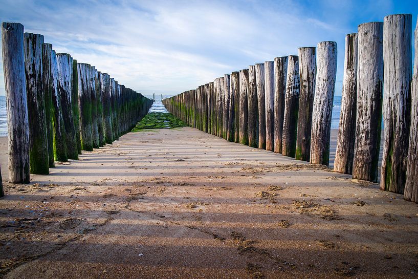 ?✨ Découvrez la beauté intemporelle de nos brise-vagues ! ✨? par Eriks Photoshop