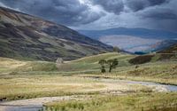 Highlands écossais - Parc national des Cairngorms par Mart Houtman Aperçu