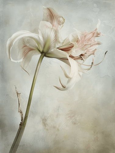 Delicate bloem in Japandi stijl