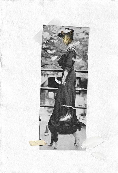 the catlady by Karin van Bylevelt