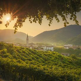 Prosecco heuvels, wijngaarden en Guia dorp bij zonsopgang van Stefano Orazzini