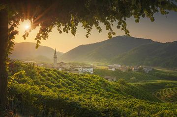 Prosecco heuvels, wijngaarden en Guia dorp bij zonsopgang van Stefano Orazzini