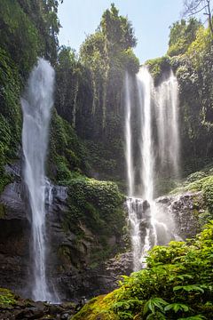 Chute d'eau Sekumpul, gorge verte à Buleleng, Bali, Indonésie sur Fotos by Jan Wehnert