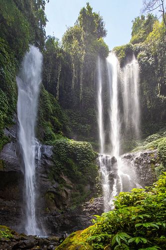 Sekumpul waterval, groene kloof in Buleleng, Bali, Indonesië