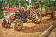 tractor Sri Lanka von Johan Vet Miniaturansicht