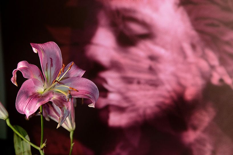 Fille de fleur par fotograafhollandslicht