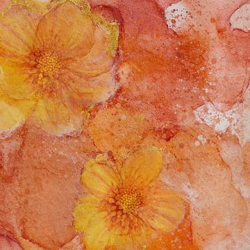 Abstract Brilliance V - Tangerine Twist, floral close-up