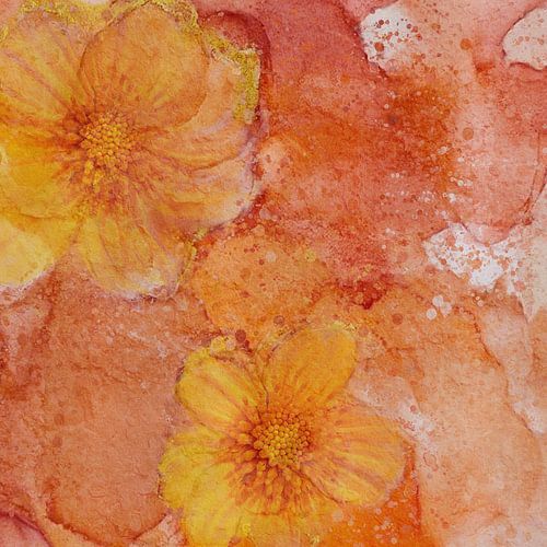 Abstract Brilliance V - Tangerine Twist, gros plan floral sur MadameRuiz