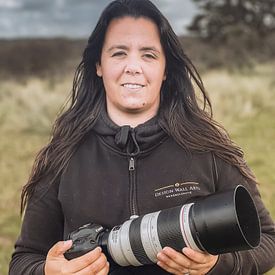 Design Wall Arts Profile picture