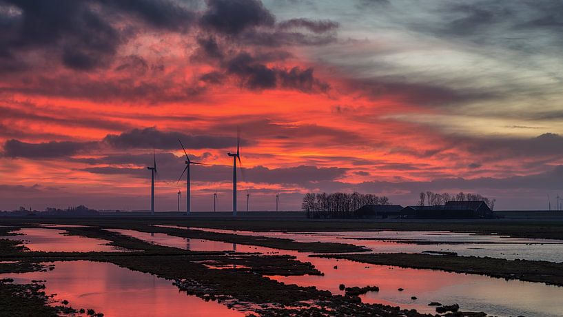 Winter zonsopkomst in januari by Bram van Broekhoven