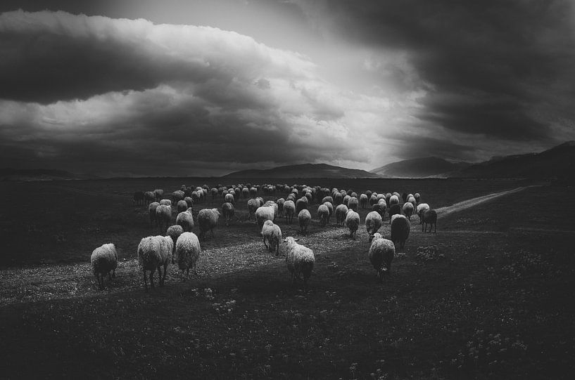Untitled by Todor Tanev