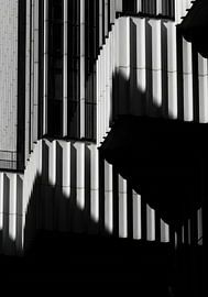 Schwarze und weiße Gebäudefassade mit vertikalen Paneelen und Schatten