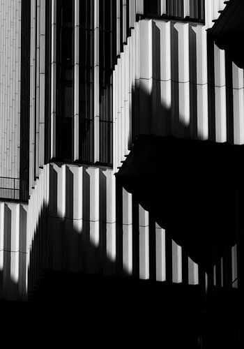 Zwart-witte gebouwgevel met verticale panelen en schaduwen