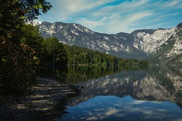 Het Sloveense meer van Bohinj