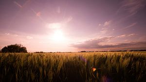 Sonnenuntergang von Pixel4ormer