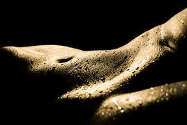 Bodylines von Stefan Füsers