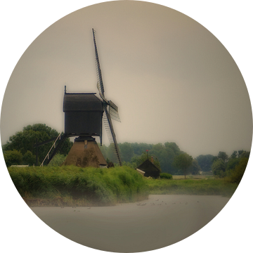 The Windmills of your mind van Bert Seinstra