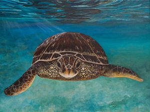 Turquoise Tortoise - handbemalt