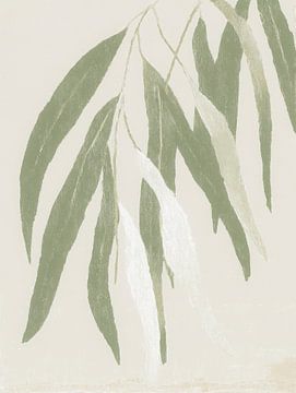 Branche d'eucalyptus douce dans des tons verts clairs