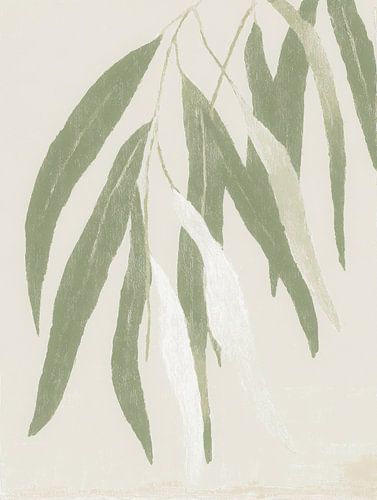 Weicher Eukalyptuszweig in hellen Grüntönen