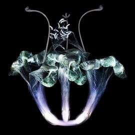 Amaryllis 9 van Henk Leijen