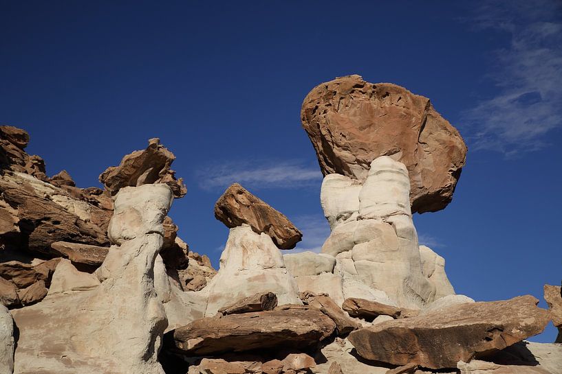 Hoodoo Forest (Rimrocks North) Grand Staircase-Escalante National Monument in zuidelijk Utah, Vereni van Frank Fichtmüller