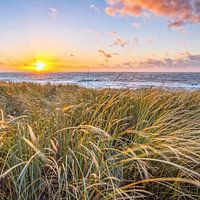 Nationalpark Duinen van Texel