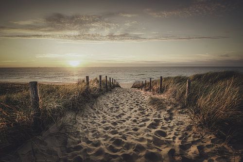 Het laatste licht van de dag