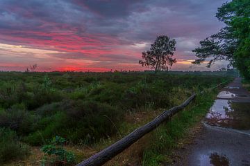 Sonnenuntergang - Nationalpark Sallandse Heuvelrug von Rob Baken