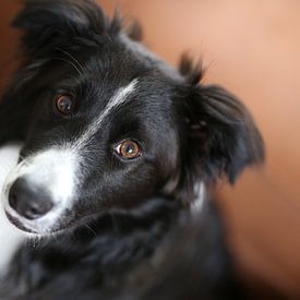 Ruby Geentjens Profilfoto