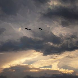Tauben im Anflug von Petra Dreiling-Schewe