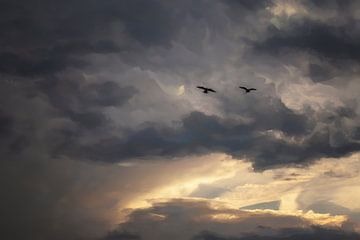 Duiven in vlucht van Petra Dreiling-Schewe