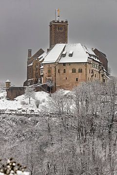Wartburg Castle in the Thuringian Forest in winter by Roland Brack