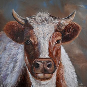 Kuh mit zotteligem Fell