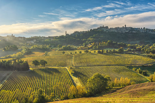 Zonsopgang boven de skyline en de wijngaarden van Montepulciano