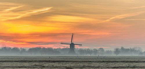 Zonsopkomst bij de molen!