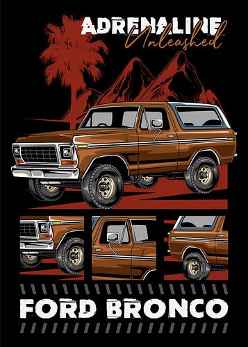 1978 Ford Bronco Car