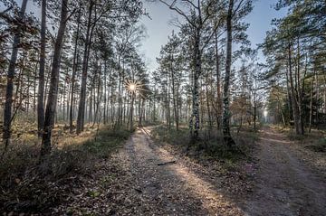 Kreuzweg von Adriaan Westra