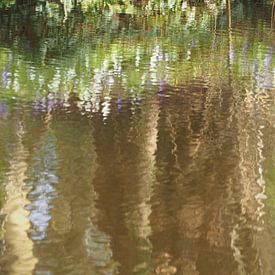 bomen in het water van Marjanne van der Linden