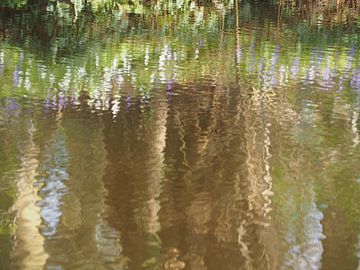 bomen in het water van Marjanne van der Linden