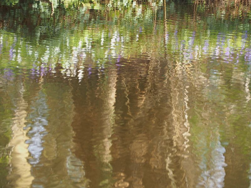 arbres d'eau par Marjanne van der Linden