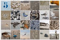 Strand collage
