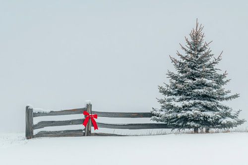 Kerstmagie