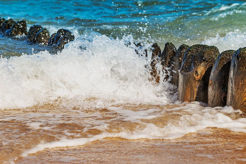 Buhnen am Strand der Ostsee par Gunter Kirsch
