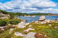 Landschap op het archipeleiland Skjernøya in Noorwegen van Rico Ködder thumbnail