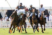 Polo wedstrijd
