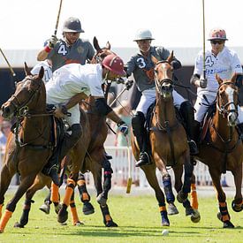 Polo game sur Harm-Jan Wijnholt