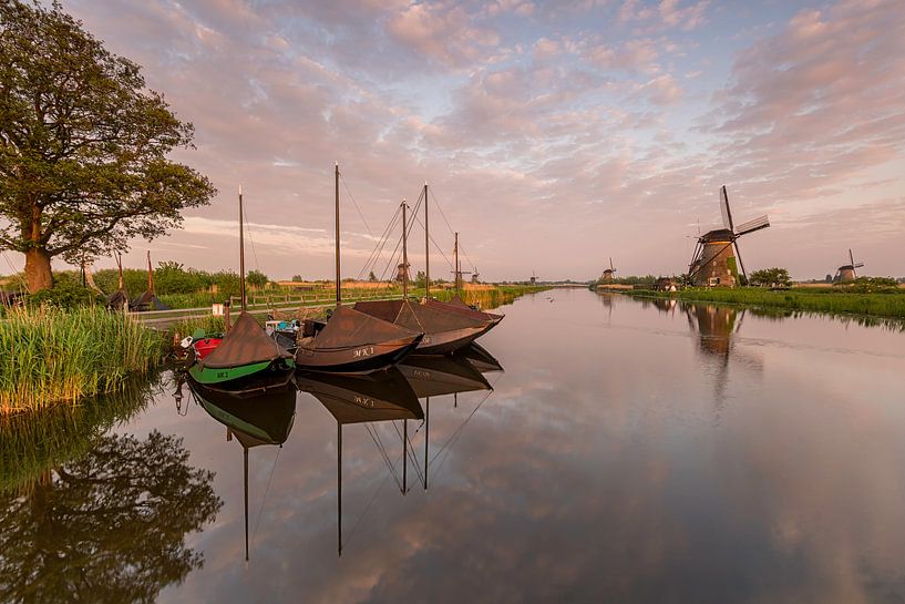 Zalmschouwen by Jan Koppelaar